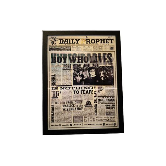 Quadro 3D Harry Potter